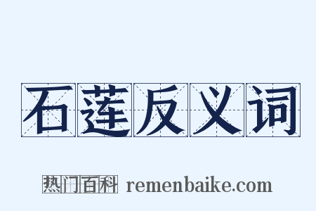 石莲反义词是什么意思的图片